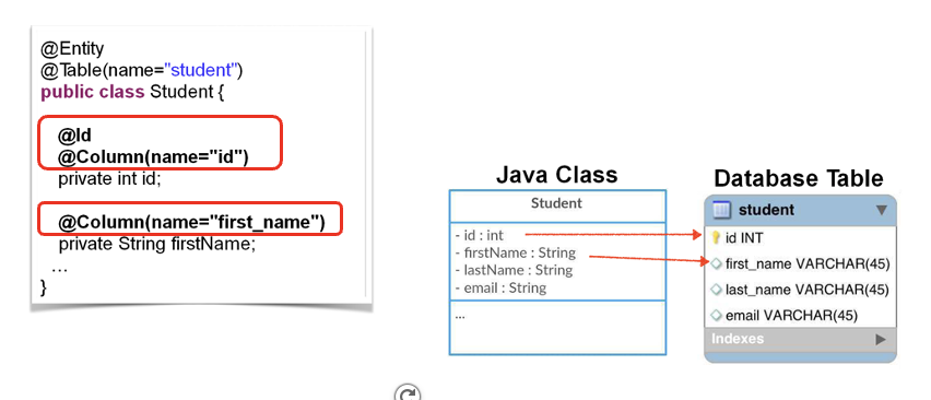 Map fields to database columns